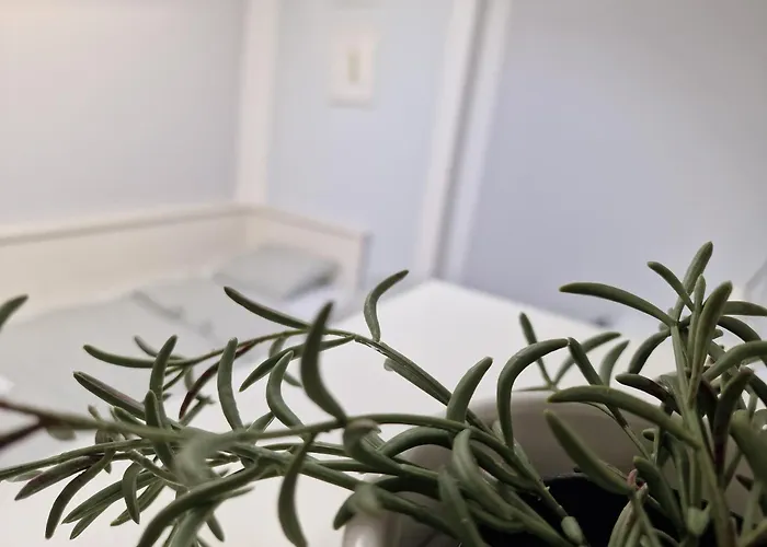 Nestinghigh Apartment
